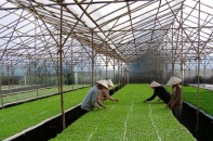 Giảm lãi suất cho vay nông nghiệp công nghệ cao từ 0,5- 1,5% so với mặt bằng