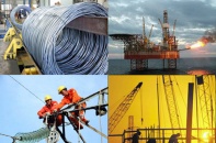 Nghiên cứu 2 mô hình cơ quan chuyên trách đại diện chủ sở hữu vốn nhà nước