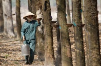 4 cổ phiếu cần quan tâm ngày 8/5