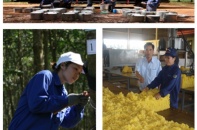 2 cổ phiếu cần quan tâm ngày 2/6