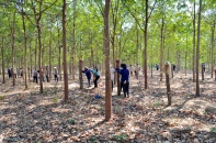 2 cổ phiếu cần quan tâm ngày 15/6