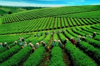 2 cổ phiếu cần quan tâm ngày 19/6