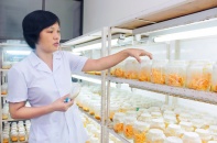 Vĩnh Phúc: Chuyển nhiều công ty, đơn vị sự nghiệp thành công ty cổ phần