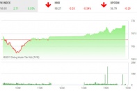 Phiên 22/6: Cổ phiếu đầu cơ dậy sóng, VN-Index lập đỉnh mới