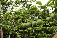 4 cổ phiếu cần quan tâm ngày 2/8