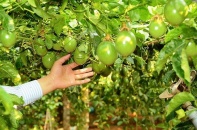 3 cổ phiếu cần quan tâm ngày 17/11