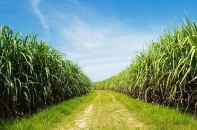 3 cổ phiếu cần quan tâm ngày 11/1