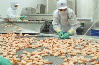 Xuất khẩu tôm nhắm mốc 10 tỷ USD