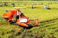 Tạo chuyển biến rõ nét và thực chất trong cơ cấu lại ngành nông nghiệp