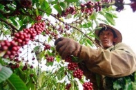 Hơn 20.000 hộ nông dân tại 4 quốc gia sắp được tiếp cận nguồn vốn từ ADB và JICA