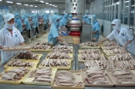 Khắc phục tình trạng các lô hàng thủy sản bị nước ngoài trả về