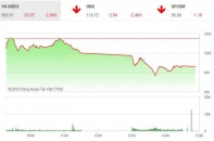 Phiên 22/5: Nhà đầu tư hoảng loạn, VN-Index lao dốc