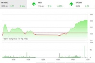 Phiên 13/6: VN-Index bất ngờ tăng vọt, chinh phục thành công mốc 1.030