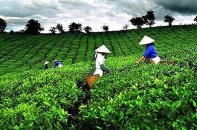 4 cổ phiếu cần quan tâm ngày 8/8