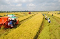 Tiếp tục rà soát, đánh giá những bất cập liên quan đến tích tụ đất đai