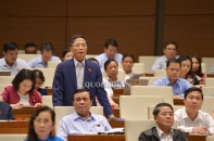 Năm 2020 cơ bản xử lý xong 12 dự án thua lỗ ngành Công Thương