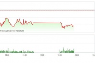 Phiên 8/1: NVL lao dốc, VN-Index điều chỉnh