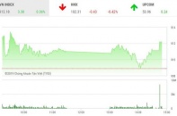 Phiên 28/1: "Họ Vin" giúp VN-Index chinh phục thành công mốc 910 điểm