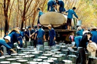 4 cổ phiếu cần quan tâm ngày 7/3