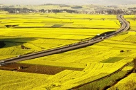 Phát triển bền vững Đồng bằng sông Cửu Long thích ứng với biến đổi khí hậu