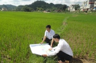 Kiểm kê đất đai, lập bản đồ hiện trạng sử dụng đất từ ngày 1/8/2019