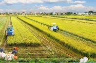 Nỗ lực hoàn thành các chương trình mục tiêu quốc gia