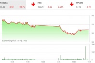 Phiên 13/8: Sắc đỏ ngập tràn, VN-Index mất gần 9 điểm