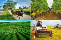 Tổ chức Diễn đàn Kinh tế hợp tác, hợp tác xã năm 2019 vào tháng 10