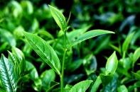 3 cổ phiếu cần quan tâm ngày 10/9