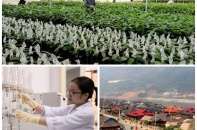 8 chính sách mới của Chính phủ có hiệu lực từ tháng 2/2020