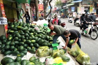 Xử lý nông sản ùn ứ ở cửa khẩu: Tập trung chế biến sâu cho thị trường nội địa