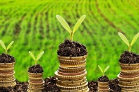 Thúc đẩy phát triển thị trường tài chính xanh cho Việt Nam