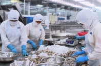 Một số nhiệm vụ, giải pháp phát triển công nghiệp chế biến nông lâm thủy sản