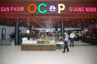 Đặt mục tiêu cả nước có 2.400 sản phẩm được chuẩn hóa OCOP