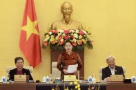 "Đoàn tàu Quốc hội đã rời ga thì Chính phủ vẫn đuổi theo và gửi thêm hành khách"