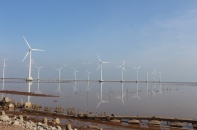 Thủ tướng chỉ đạo nghiên cứu thông tin của Báo Đầu tư về điện gió