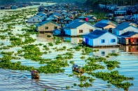 Sơ kết Nghị quyết 120 về phát triển bền vững Đồng bằng sông Cửu Long
