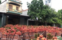 Phó Thủ tướng chỉ đạo hỗ trợ tiêu thụ nông sản tỉnh Bắc Giang