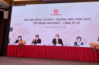 ĐHĐCĐ 2021 Vingroup: Mục tiêu doanh thu 170.000 tỷ đồng nhờ "kiềng ba chân" vững chãi