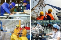 Tiêu chí phân loại DNNN thực hiện chuyển đổi sở hữu, sắp xếp lại, thoái vốn