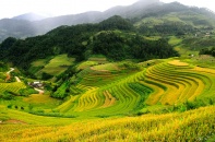 Quy chế hoạt động của Hội đồng điều phối vùng trung du và miền núi phía Bắc