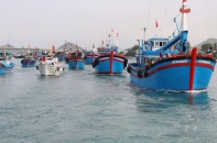 Nhằm gỡ “Thẻ vàng” khai thác thuỷ sản, Chính phủ duyệt Đề án Phòng, chống khai thác hải sản bất hợp pháp