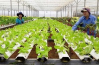 Cắt giảm, đơn giản hóa quy định hoạt động kinh doanh thuộc quản lý của MPI