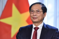 Ngoại giao Việt Nam năm 2022: Phát huy mạnh mẽ bản sắc "cây tre Việt Nam"