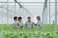 Đến năm 2045, thu hút tối thiểu 20% dân số tham gia các tổ chức kinh tế tập thể