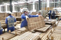 Quy hoạch Tuyên Quang trở thành trung tâm sản xuất, chế biến gỗ