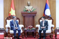 Việt Nam sẵn sàng hỗ trợ Lào đảm nhận thành công các hoạt động đối ngoại quan trọng