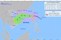 Thủ tướng yêu cầu chủ động ứng phó bão Yinxing