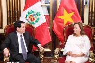 Tổng thống Peru nêu bật tầm quan trọng của đầu tư Việt Nam vào Peru