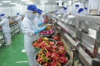 Nông sản đáp ứng tiêu chuẩn để đẩy mạnh xuất khẩu